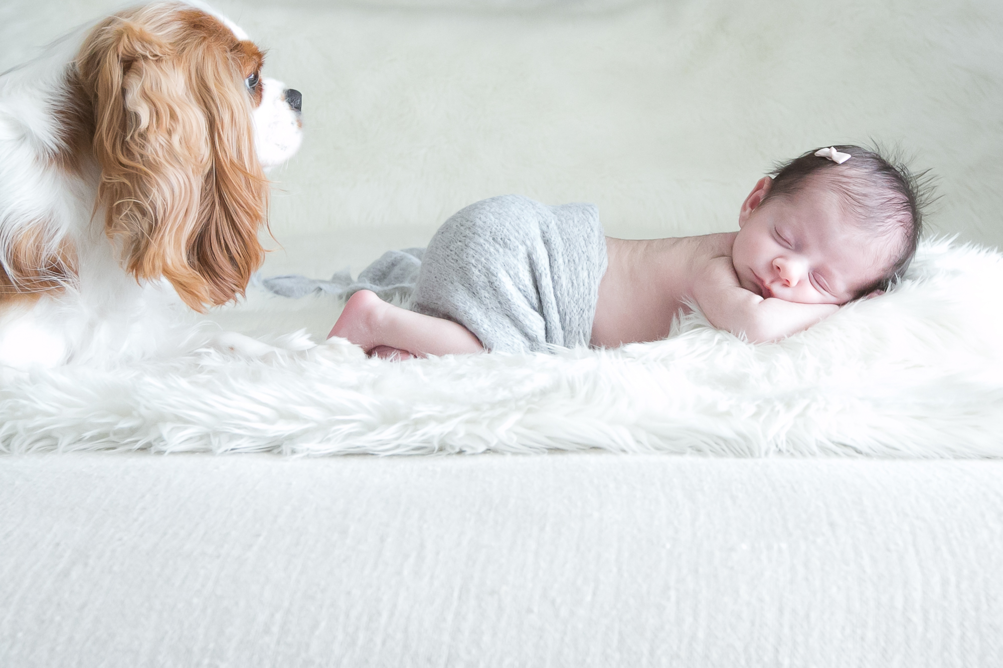 newborn (20 de 54)