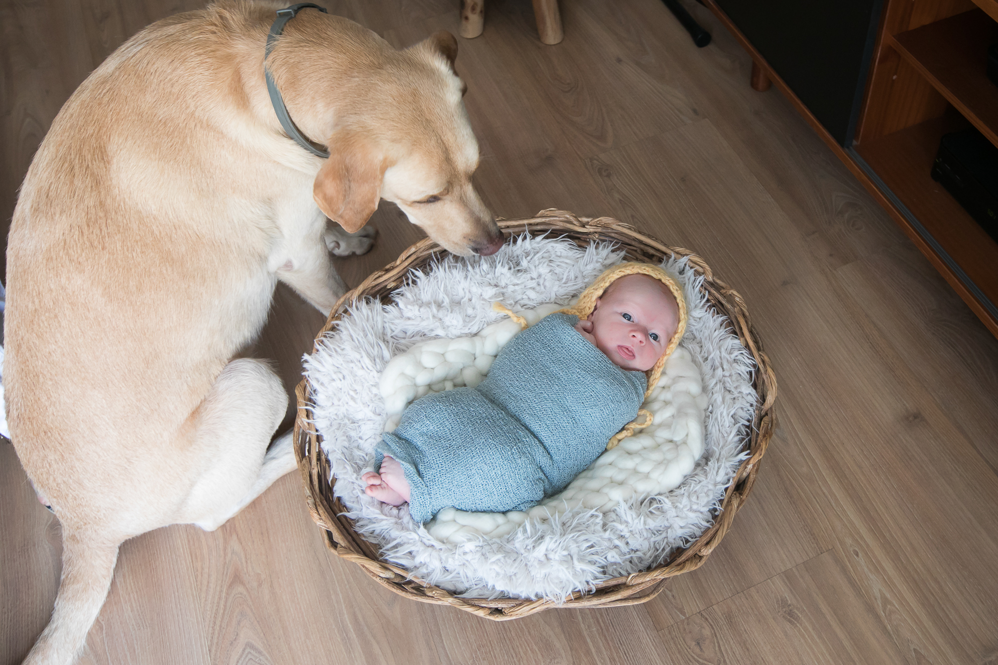 newborn (37 de 54)