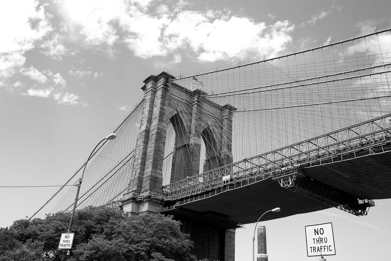 NY-5