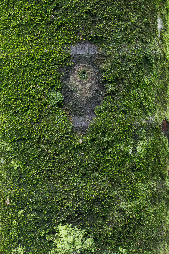 TEXTURAS-3765